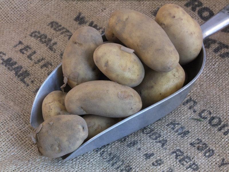 where to buy jersey royal potatoes