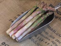 Picture of Asparagus Green UK ORGANIC