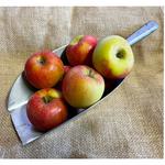 Picture of Juliet Apples ORGANIC