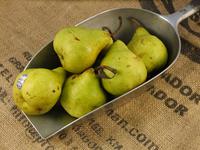 Picture of Packham Pears ORGANIC