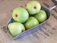 Picture of DeAnjou Pears ORGANIC