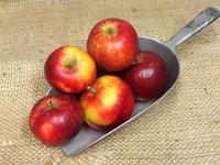 Picture of Red Devil Apples ORGANIC