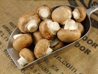 Picture of Brown Mushrooms UK ORGANIC
