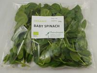 Picture of Baby Spinach ORGANIC