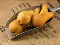 Picture of Conference Pears ORGANIC