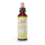 Picture of  White Chestnut Flower Remedies