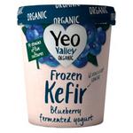 Picture of  Frozen Yoghurt Kefir Blueberry ORGANIC