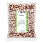 Picture of Pinto Beans ORGANIC