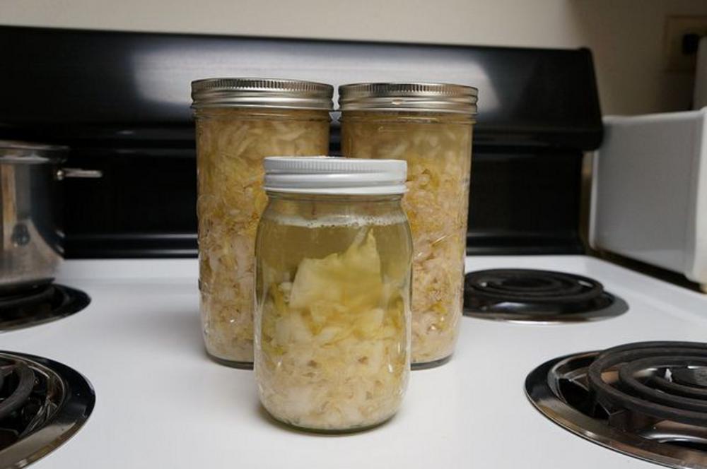 Fermenting sauerkraut